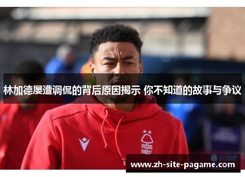 林加德屡遭调侃的背后原因揭示 你不知道的故事与争议