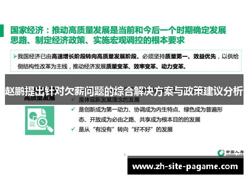 赵鹏提出针对欠薪问题的综合解决方案与政策建议分析