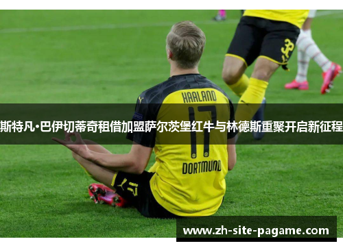 斯特凡·巴伊切蒂奇租借加盟萨尔茨堡红牛与林德斯重聚开启新征程 斯特凡·巴伊切蒂奇租借加盟萨尔茨堡红牛与林德斯重聚开启新征程