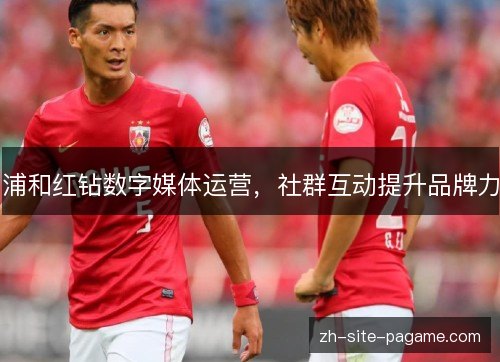 浦和红钻数字媒体运营,社群互动提升品牌力 浦和红钻数字媒体运营,社群互动提升品牌力