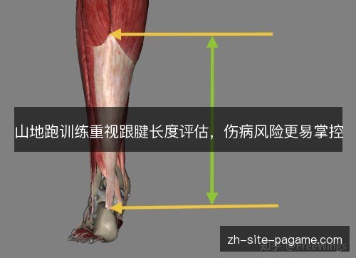 山地跑训练重视跟腱长度评估,伤病风险更易掌控 山地跑训练重视跟腱长度评估,伤病风险更易掌控